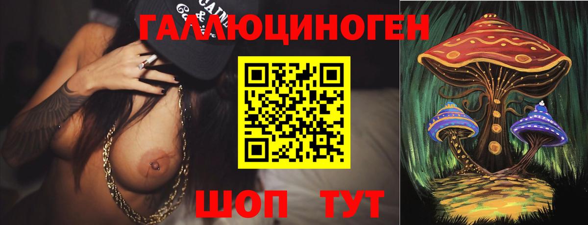 Псилоцибиновые грибы Psilocybine cubensis Муром